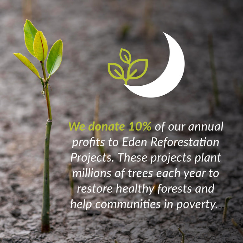 Moon Insulated Lunch Bag with Bottle Holder